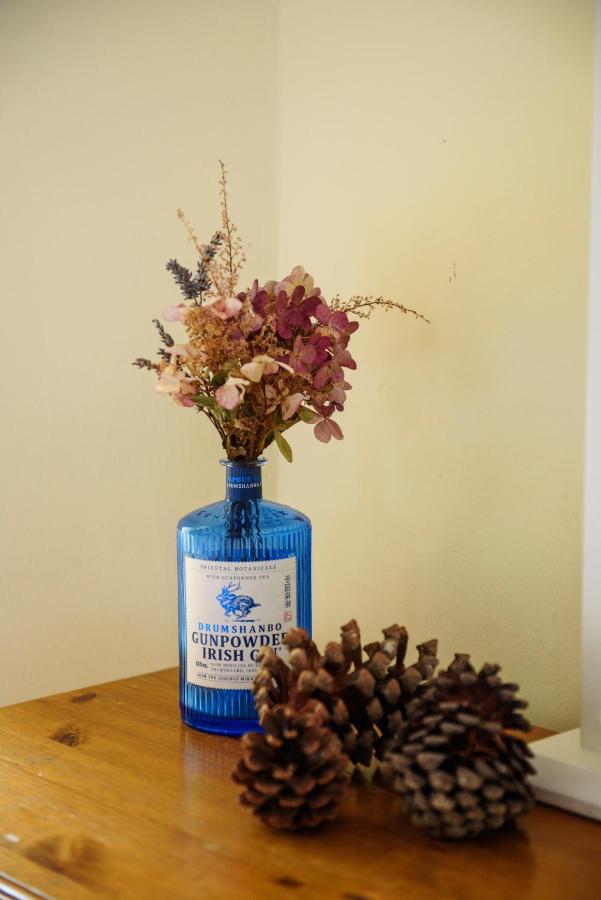 Waterfront Self Catering Houses Carrick-on-Shannon Екстер'єр фото