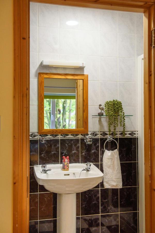 Waterfront Self Catering Houses Carrick-on-Shannon Екстер'єр фото